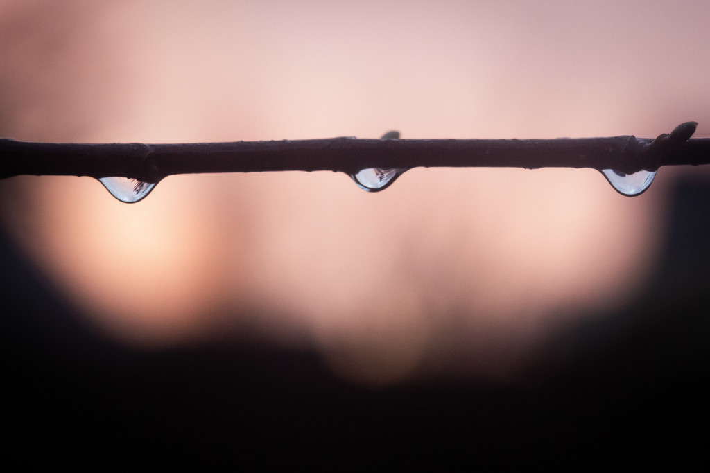 Sunset in Droplets  by tina_mac