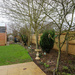 My Garden January 2021 by phil_sandford