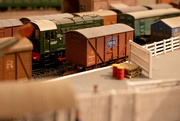 29th Jan 2021 - The busy goods yard...