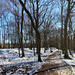 Jan 29th Snowy Path by valpetersen