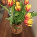 Early tulips by snowy