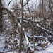 Winter wonderland 3 by larrysphotos