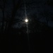 Bright nights by moonshinegoober