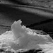 January 30: "iceberg" by daisymiller