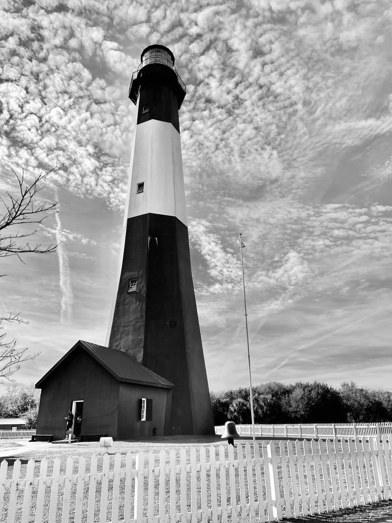 Tybee Island Ga lighthouse.  by clayt