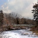 Frozen Landscape by randy23