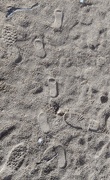 22nd Jan 2021 - Small Footprints In the Sand.