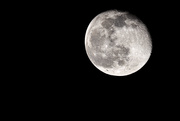 31st Jan 2021 - Waning Wolf moon 