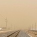 A sandstorm in Lubbock yesterday, 50-60 mph winds and no rain makes the soil too dry.  by louannwarren