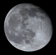 31st Jan 2021 - Wolf Moon