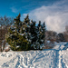 Snow in Ringve Botanical Garden  by elisasaeter