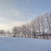 Winter Landscape by toinette