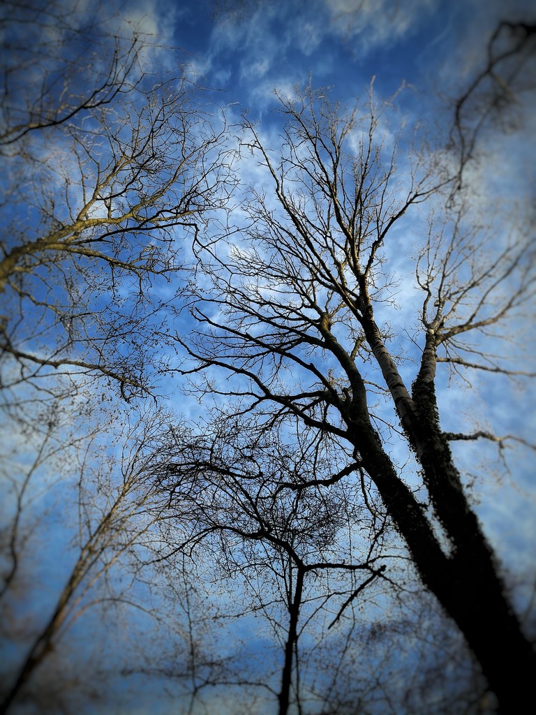 Blue sky by denful