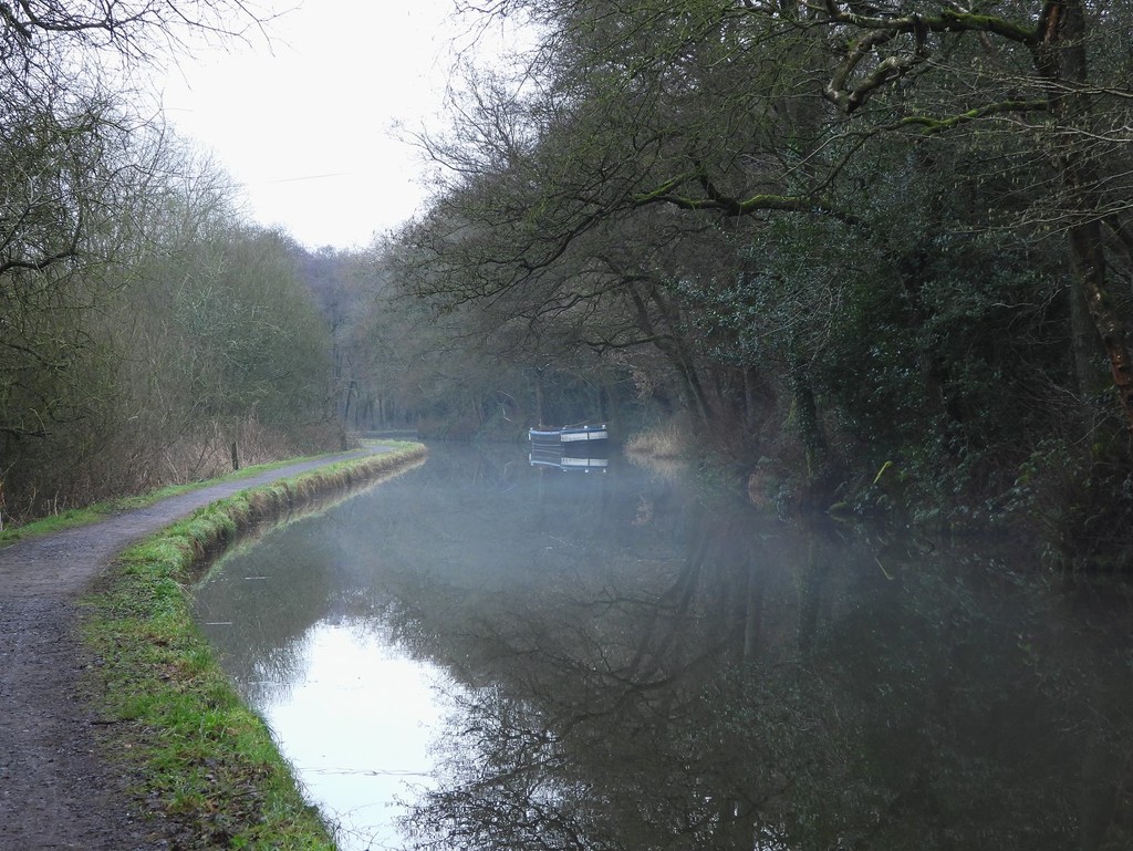 A walk along the canal by roachling