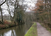 29th Jan 2021 - Along the canal again