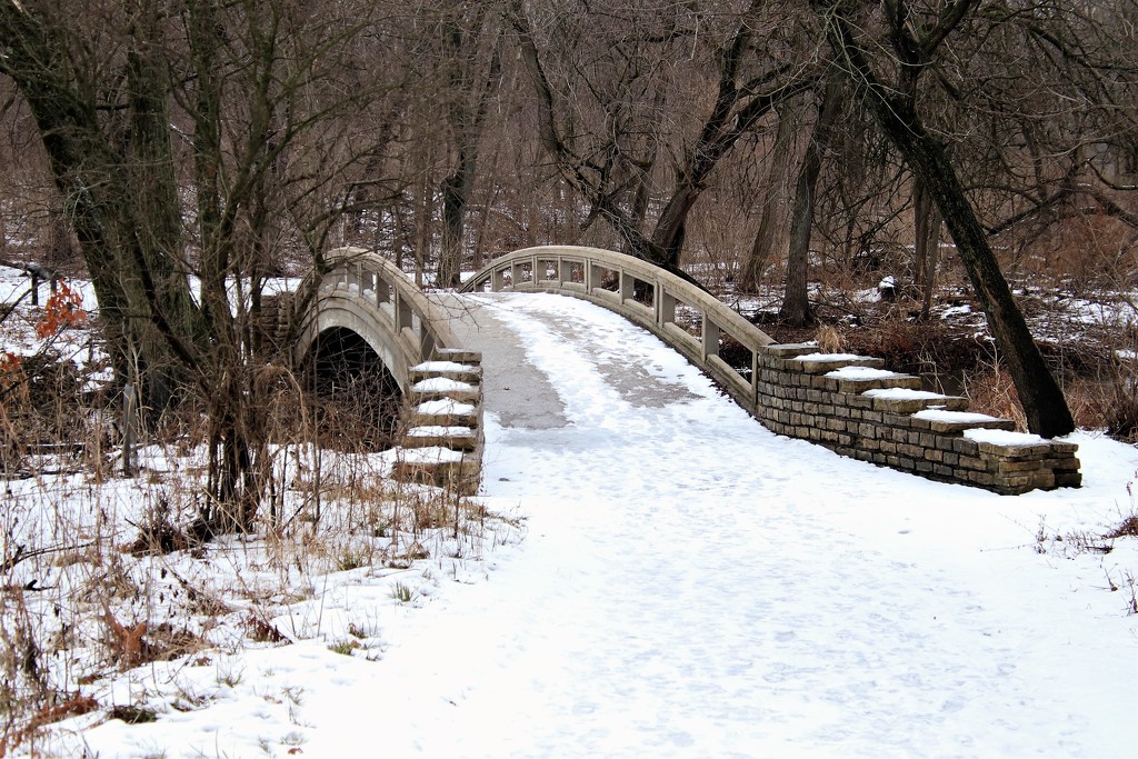Snowy Bridge by randy23