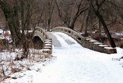 17th Jan 2021 - Snowy Bridge