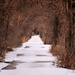Snowy Walkway by randy23