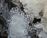 21st Jan 2021 - Ice Beauty on a Beaver Dam.
