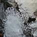 Ice Beauty on a Beaver Dam. by kclaire