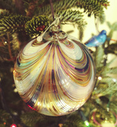 13th Dec 2020 - Glass Ornament  12-13-20