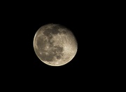 31st Jan 2021 - The 30th Moon of January
