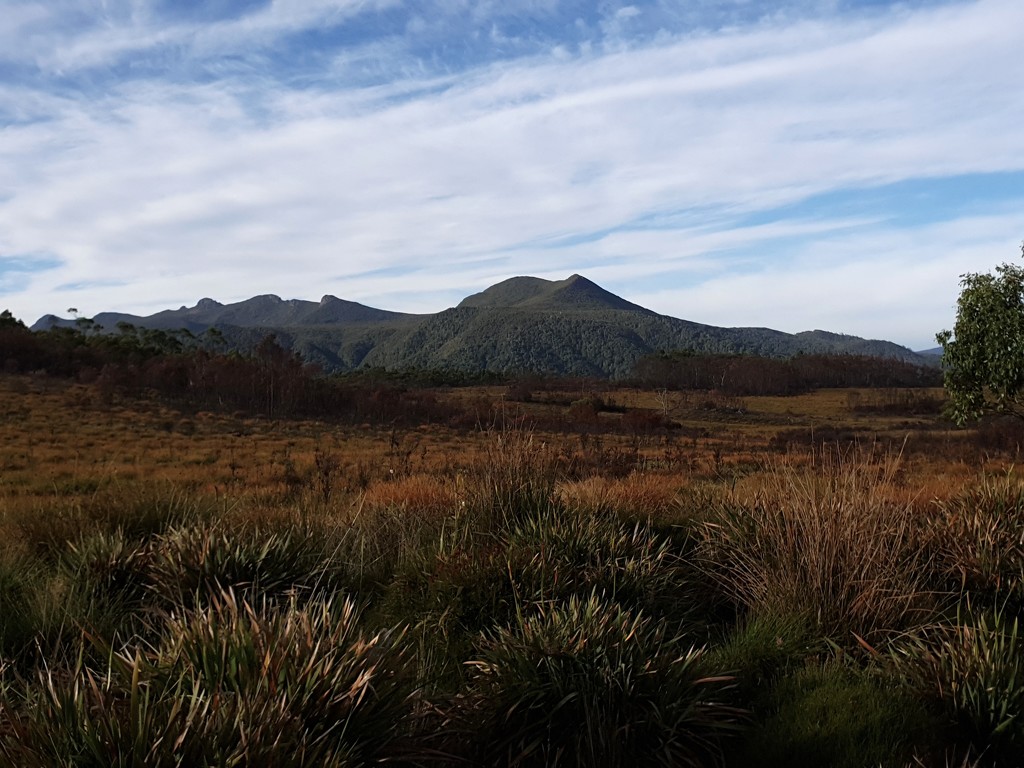 Tasmanian Wilderness  by gosia