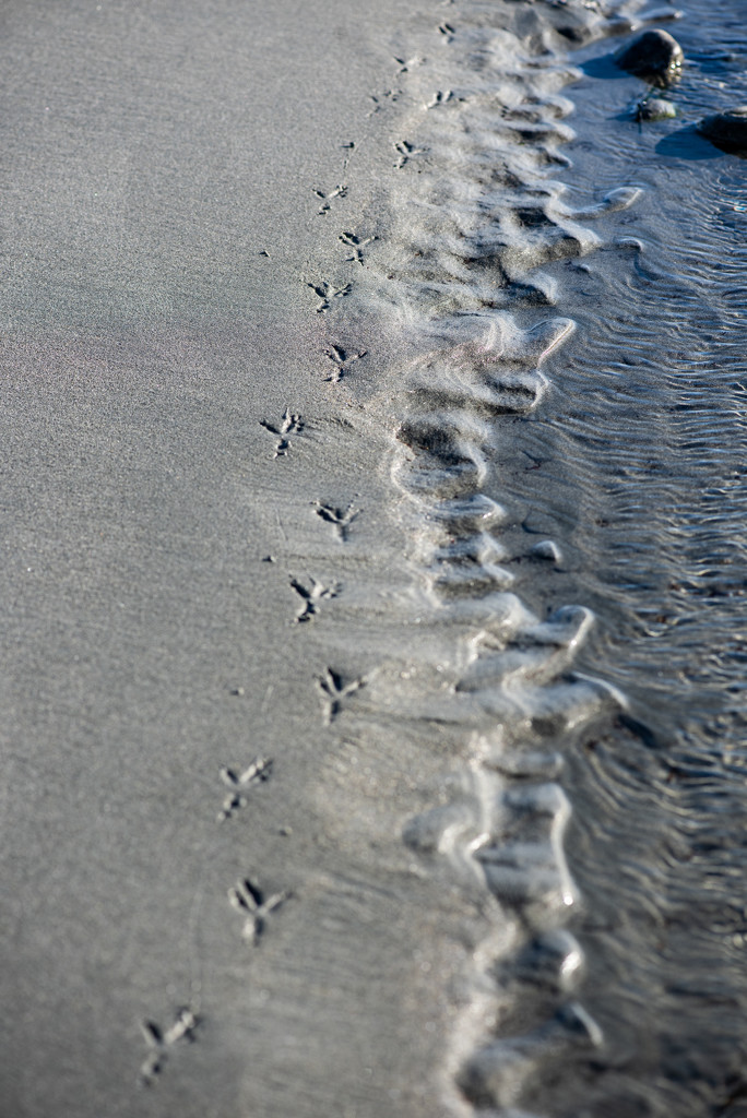 Footprints by kwind