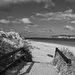 Hamelin Bay In Black And White..P1270248 by merrelyn