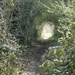 Through the ginnel. by orchid99