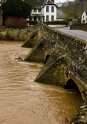 1st Feb 2021 - The River Lugg at Mordiford.