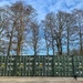 Containers, trees & a small dog!  by happypat
