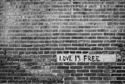 1st Feb 2021 - Love Is Free