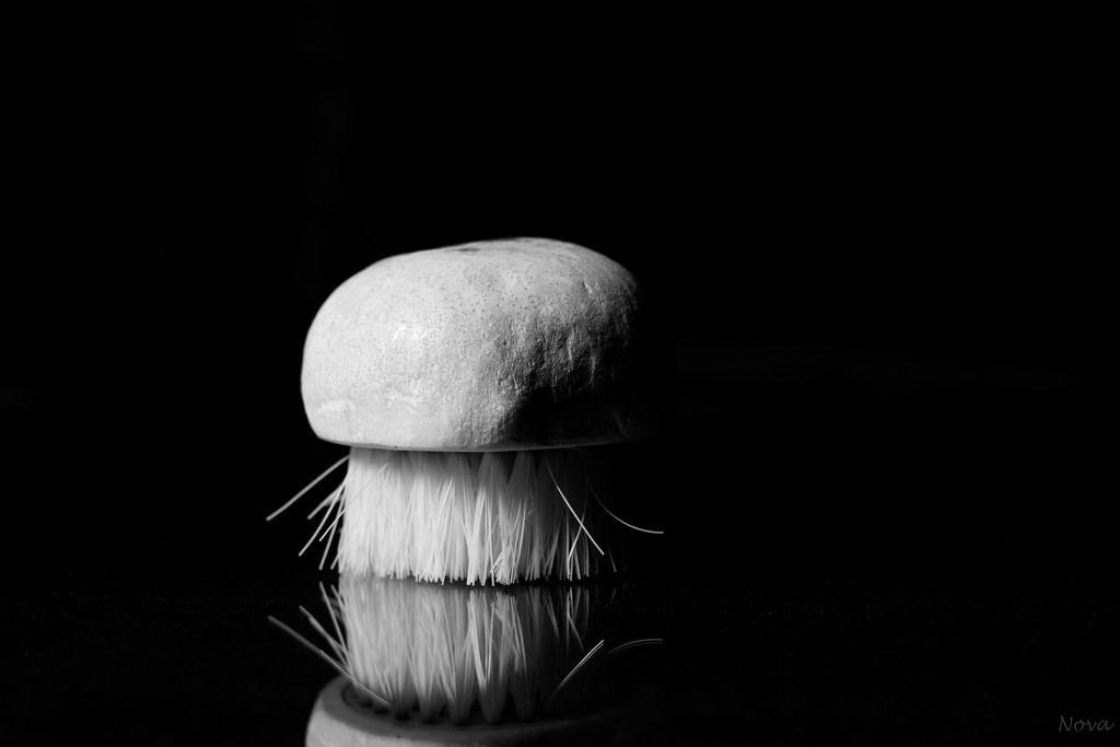 Mushroom brush by novab