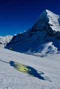 31st Jan 2021 - Grindelwald 1