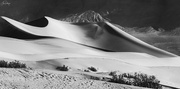 1st Feb 2021 - Death Valley Dunes B and W 2021