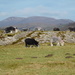 some sheep and a rock by anniesue