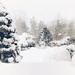 Winter Wonderland  by njmom3