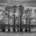 Sandy Creek Cypress by kvphoto