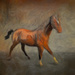 Dalton Horse Abstract by sprphotos