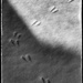 Footprints by jeffjones