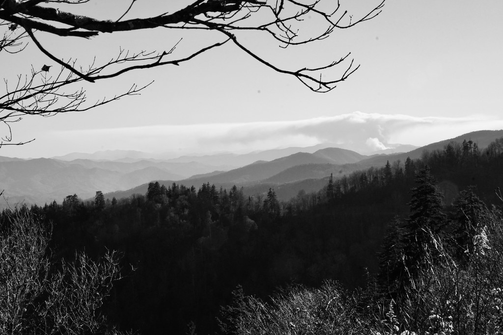landscape1 Tennessee by amyk
