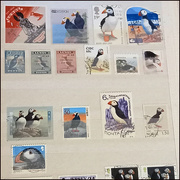 2nd Feb 2021 - Collection of Puffin birds on Stamps