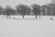 2nd Feb 2021 - Schenley Park Snow Day