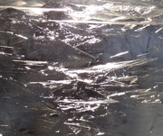 2nd Feb 2021 - Sunlight and Ice