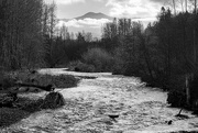 2nd Feb 2021 - Dungeness River with  Olympic Mountains peak
