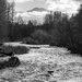 Dungeness River with  Olympic Mountains peak by theredcamera