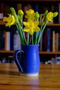 2nd Feb 2021 - Daffodils