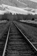 2nd Feb 2021 - FOR2021 - Railroad Tracks