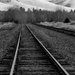 FOR2021 - Railroad Tracks by bjywamer